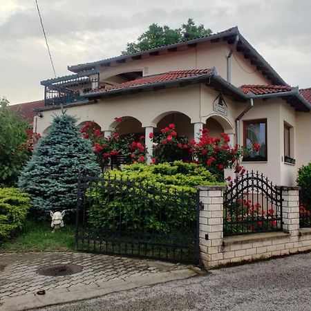 Aurora Haz Apartment Zalakaros Bagian luar foto
