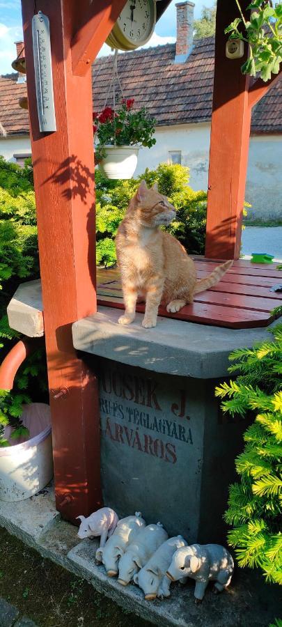 Aurora Haz Apartment Zalakaros Bagian luar foto